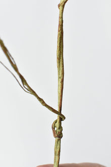 42" Artificial Blue Berry Stem Vine