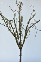 Artificial rustic moss tree branch for tall vase décor