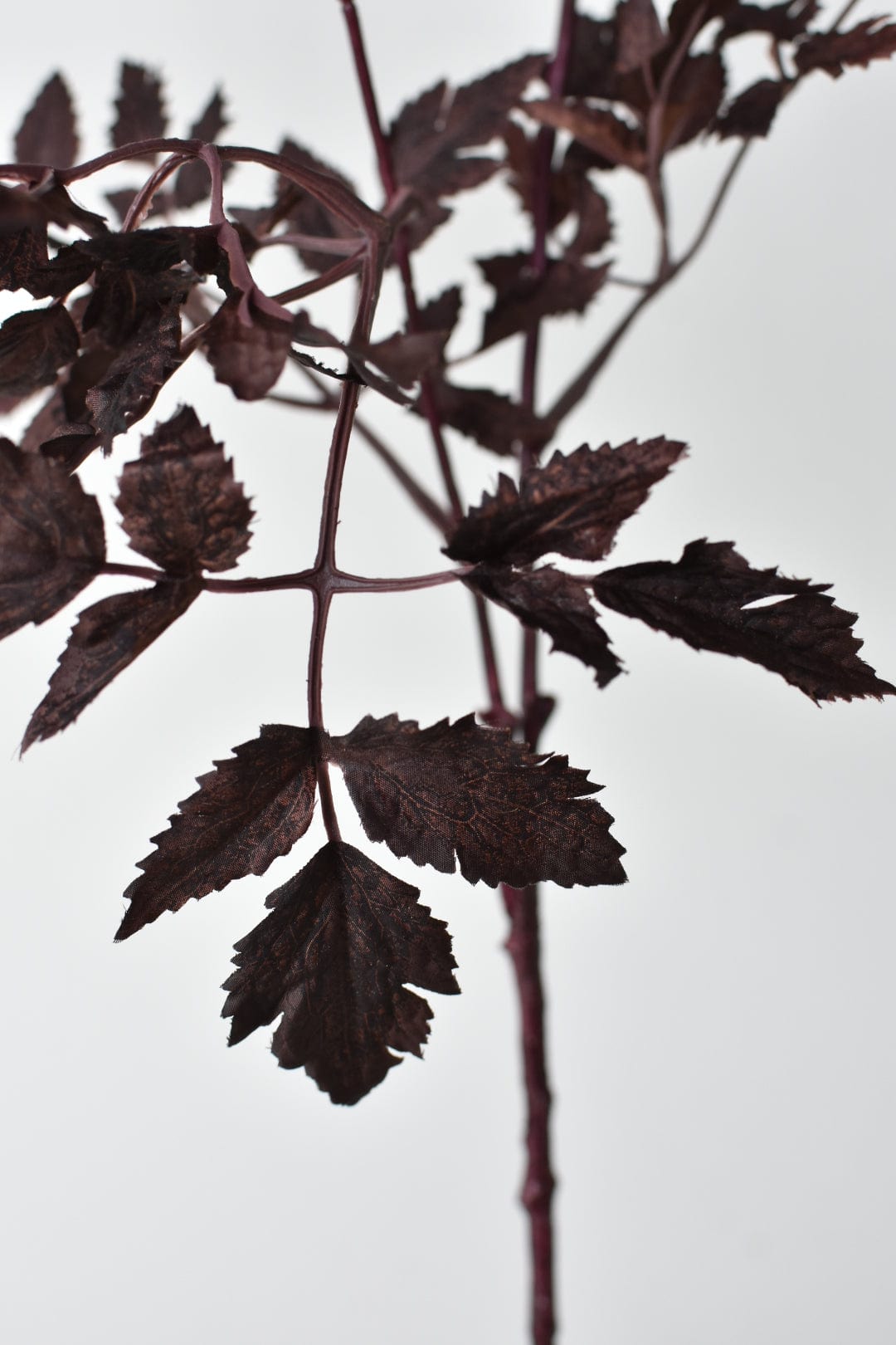 Artificial deep plum Cimicifuga Ramosa stem for fall décor