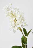 28.5" Artificial White English Lilac Stem