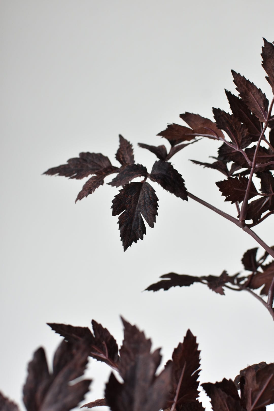 31" Artificial Cimicifunga Ramosa Stem: Plum