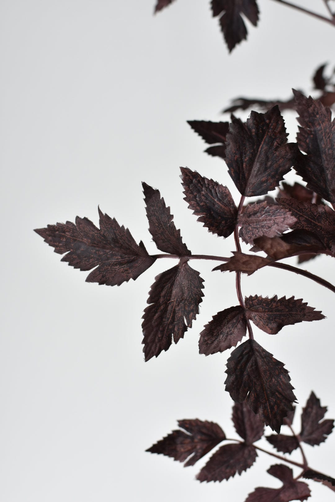 31" Artificial Cimicifunga Ramosa Stem: Plum