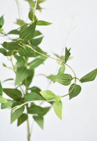 40" Artificial Green Clematis Vine Stem