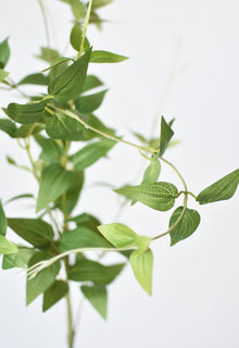 40" Artificial Green Clematis Vine Stem