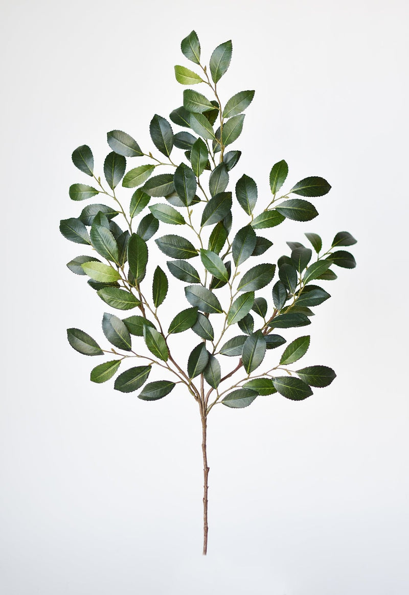 Artificial ruscus greenery stem for bouquets and arrangements