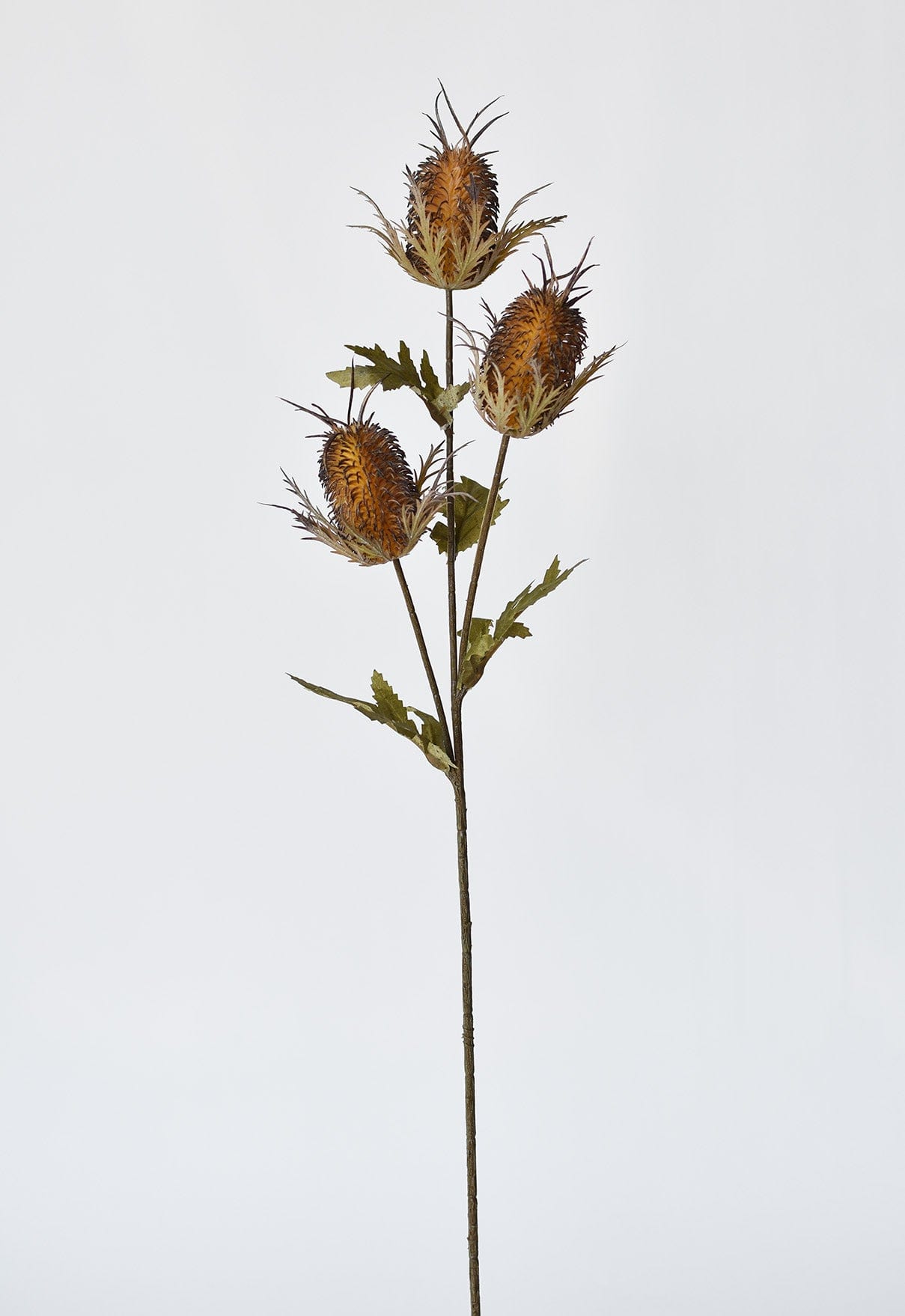 Artificial brown thistle stem for tall vases and bouquets