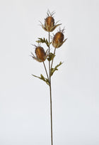 Artificial brown thistle stem for tall vases and bouquets