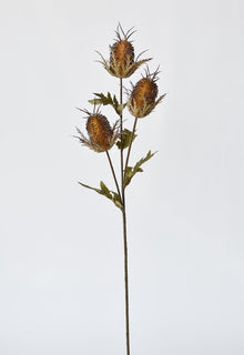 Artificial brown thistle stem for tall vases and bouquets