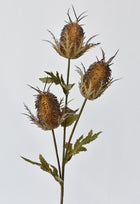 26" Artificial Brown Thistle Stem