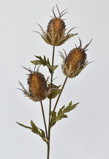 26" Artificial Brown Thistle Stem