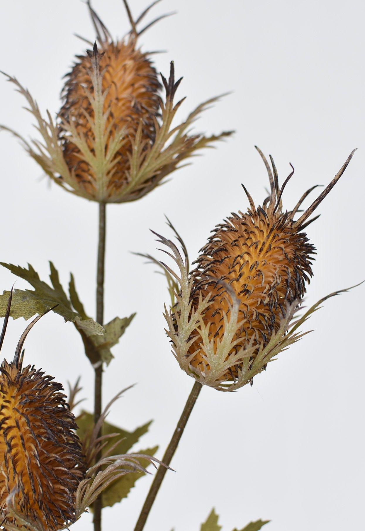 Artificial thistle branch in rustic brown for arrangements