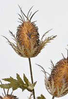 26" Artificial Brown Thistle Stem