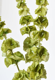 Green Artificial stem for floral bouquets and displays