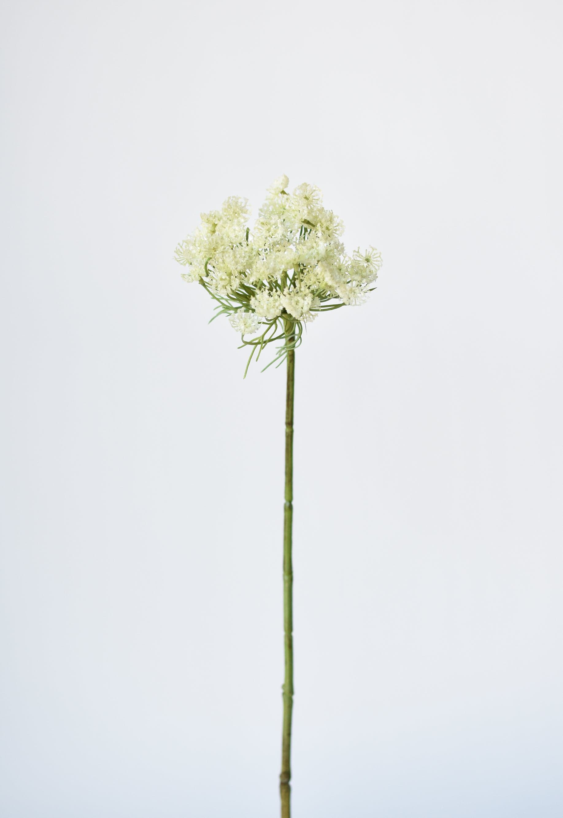 Artificial white Queen Anne’s Lace stem for floral arrangements