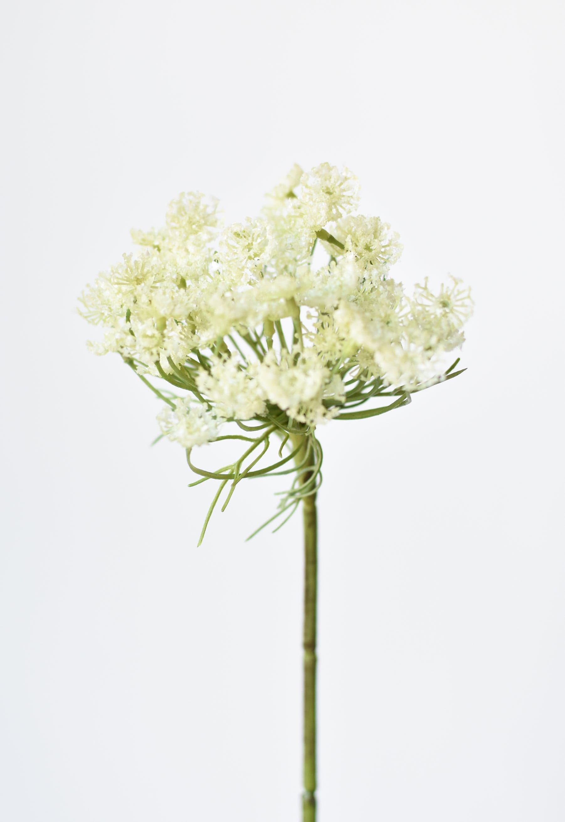 23" Artificial White Queen Anne's Lace Stem