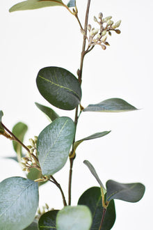 30" Artificial Seeded Eucalyptus Stem