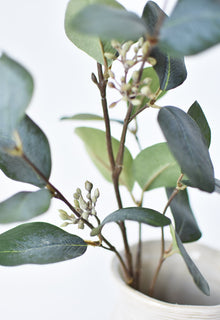 30" Artificial Seeded Eucalyptus Stem