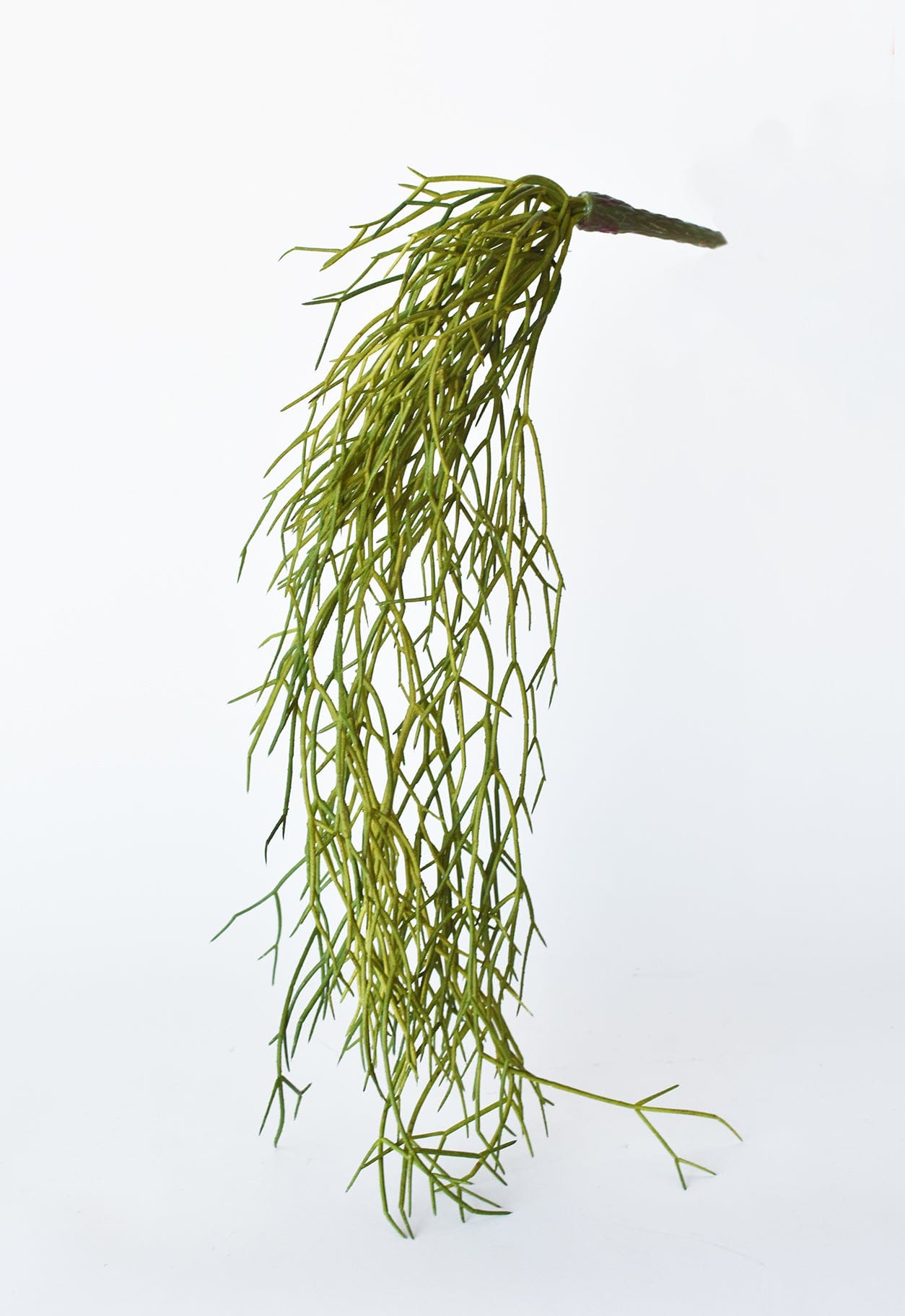 Artificial pencil cactus greenery with cascading design