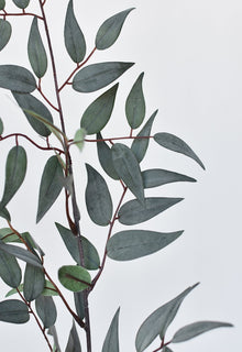Artificial ruscus greenery with 50 lifelike leaves