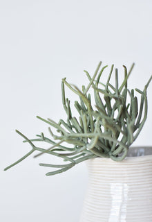 8" Artificial Soft Touch Green/Gray Pencil Cactus Pick