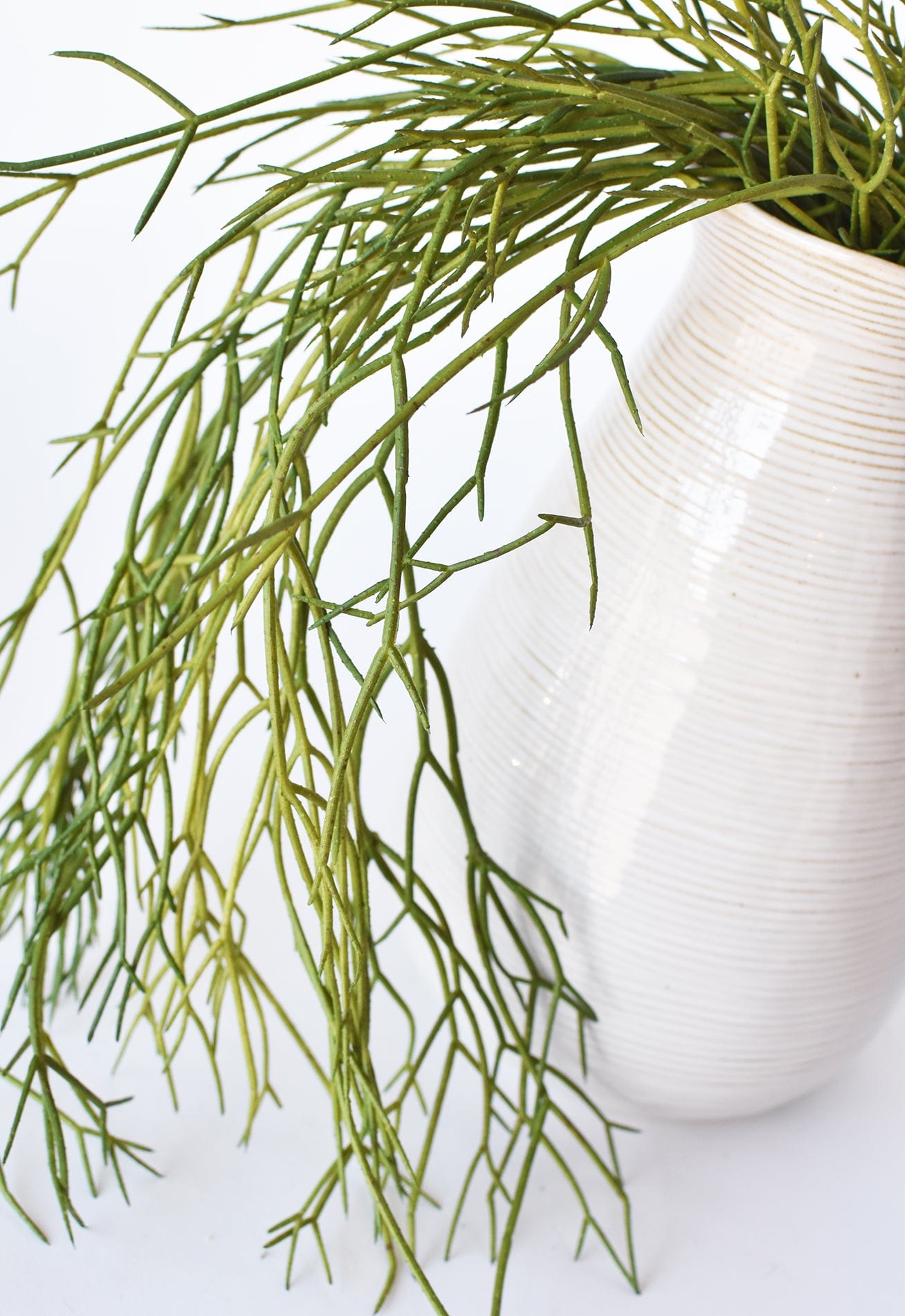 24" Artificial Pencil Cactus Hanging Succulent Bush