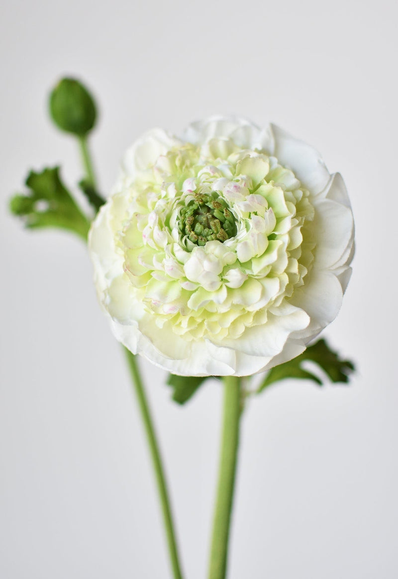 Artificial white ranunculus with bud and green leaves
