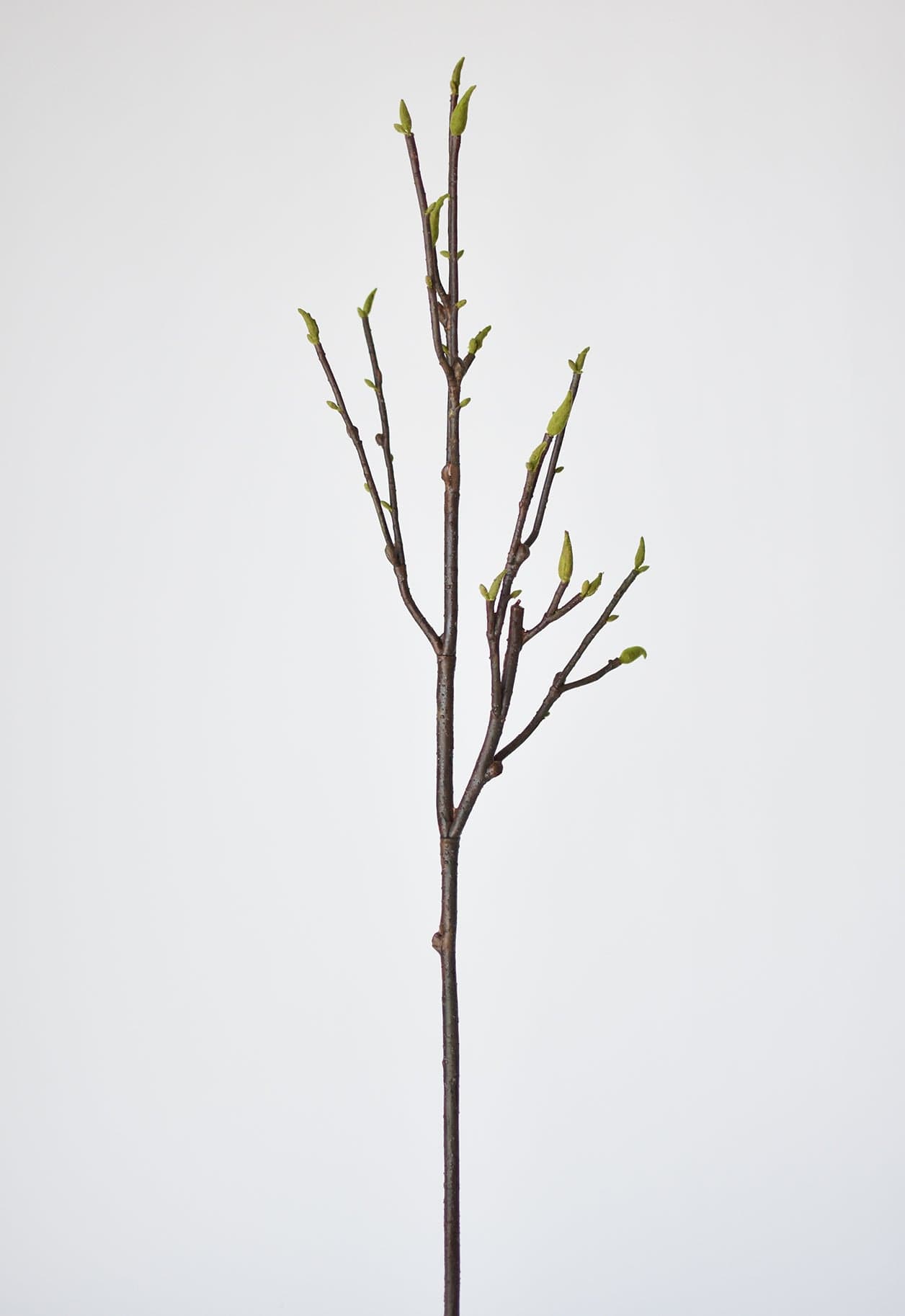 Artificial magnolia tree stem for floral arrangements