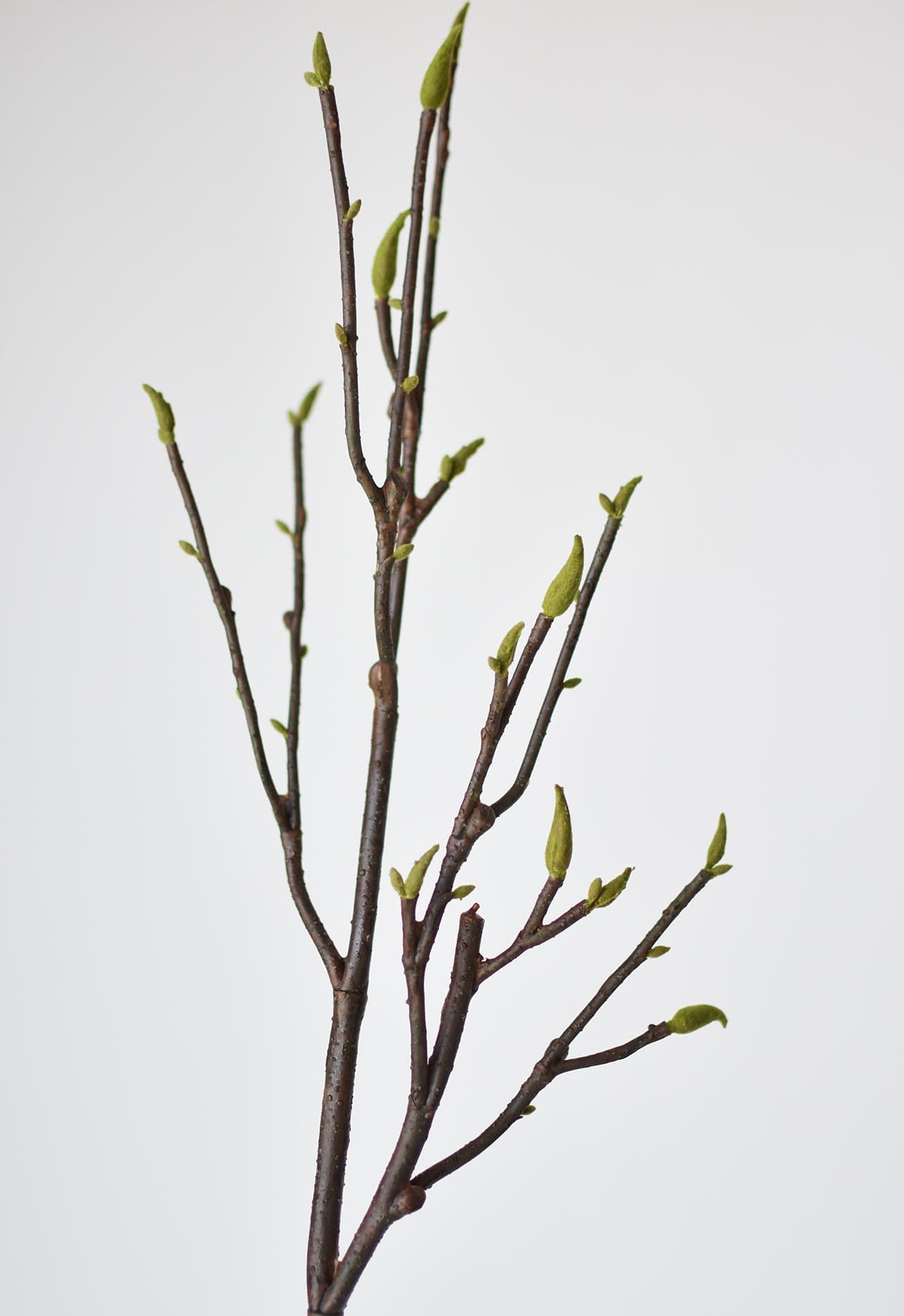 36" Artificial Magnolia Tree Branch Stem
