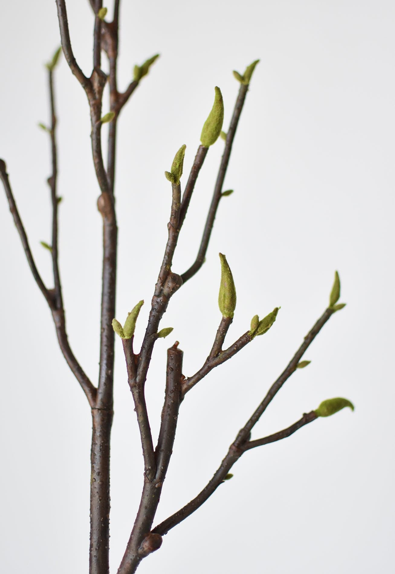 Artificial magnolia branch with 30+ buds