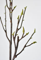 Artificial magnolia branch with 30+ buds