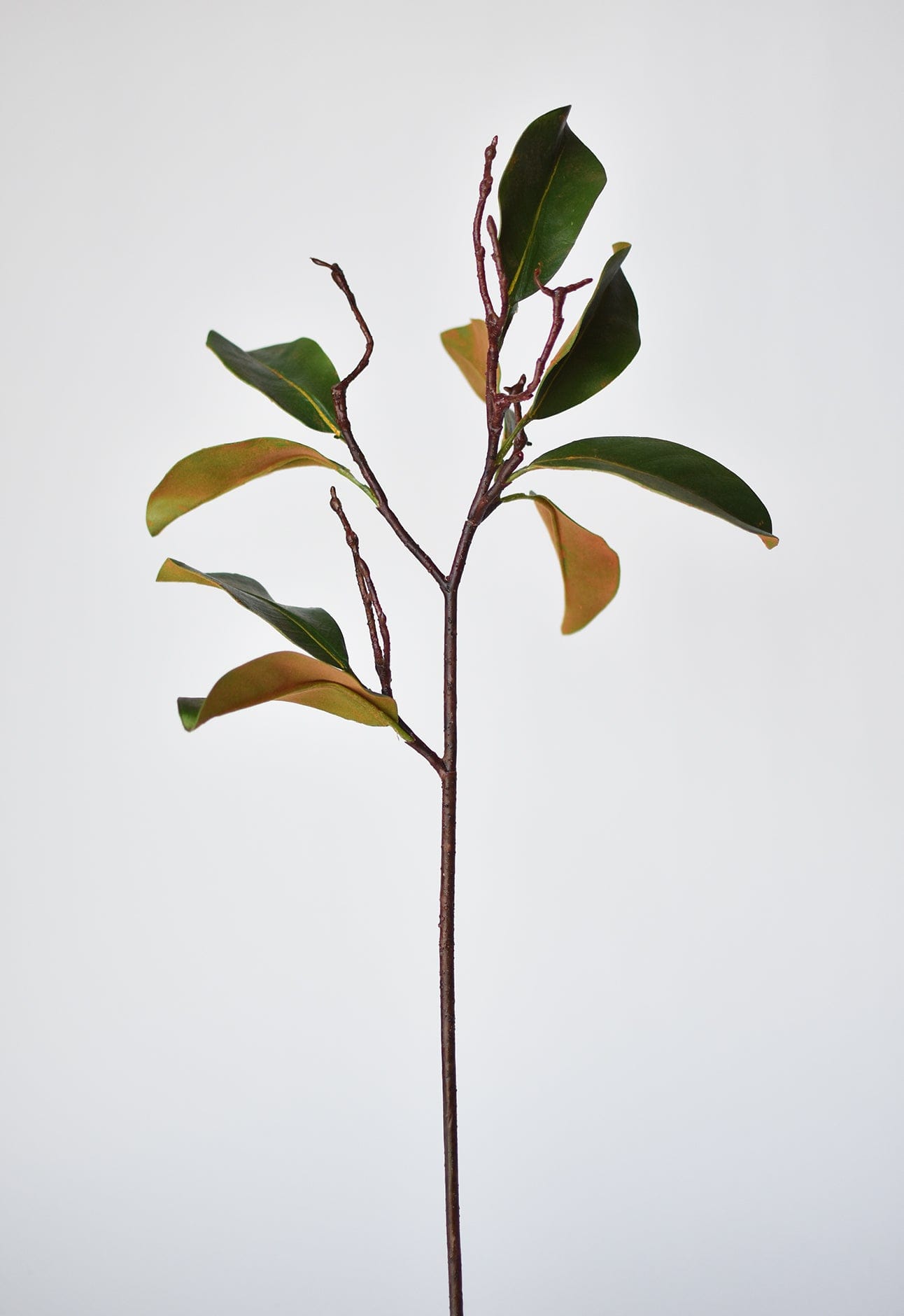 Artificial magnolia branch for vases and arrangements