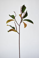 Artificial magnolia branch for vases and arrangements