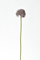 17.5" Faux Purple Allium Spray Stem