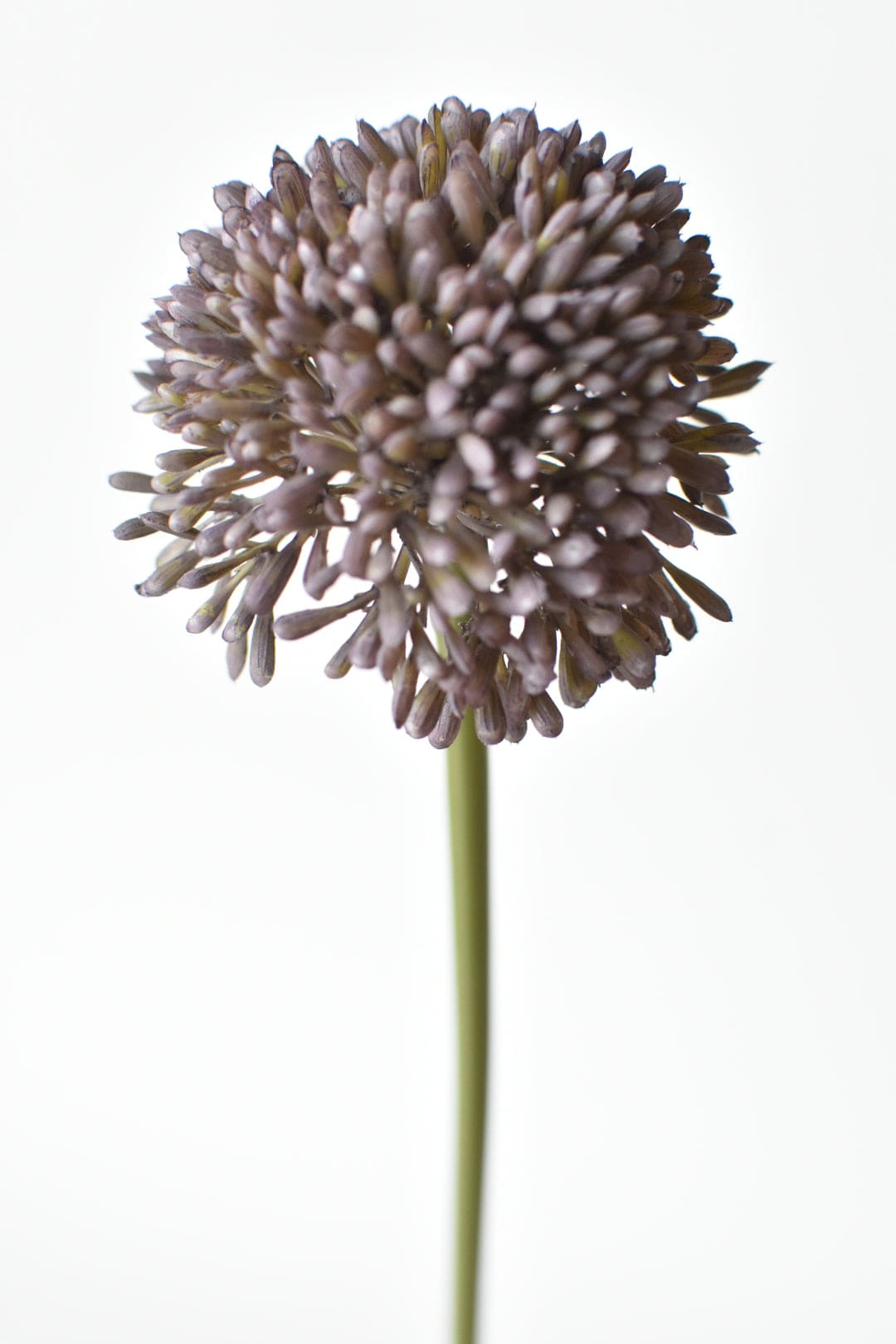 17.5" Faux Purple Allium Spray Stem