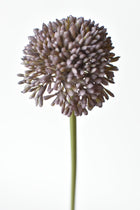 17.5" Faux Purple Allium Spray Stem