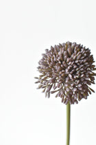 17.5" Faux Purple Allium Spray Stem