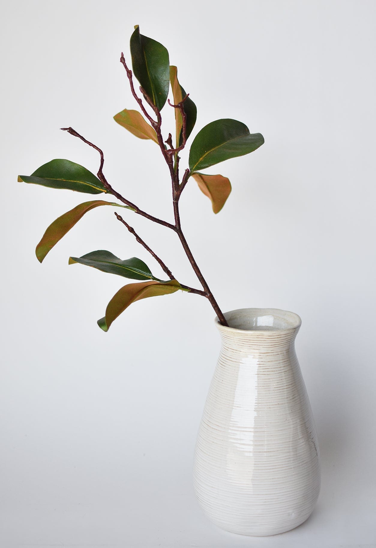 26" magnolia leaf branch