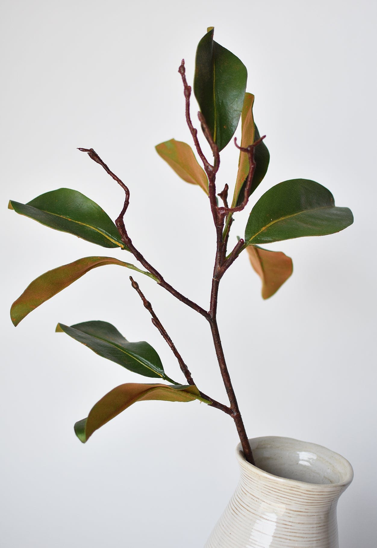 Artificial magnolia greenery stem with wired leaves