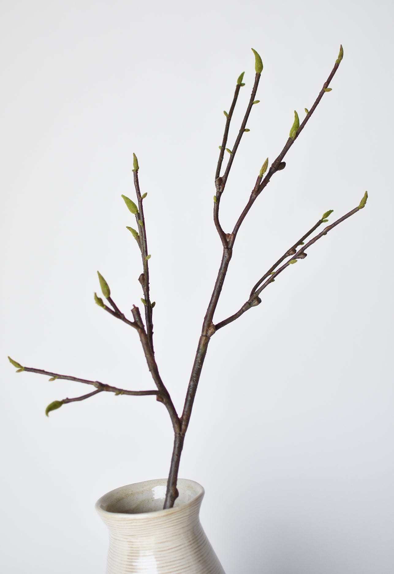 36" Artificial Magnolia Tree Branch Stem