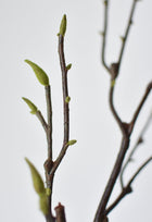 36" Artificial Magnolia Tree Branch Stem