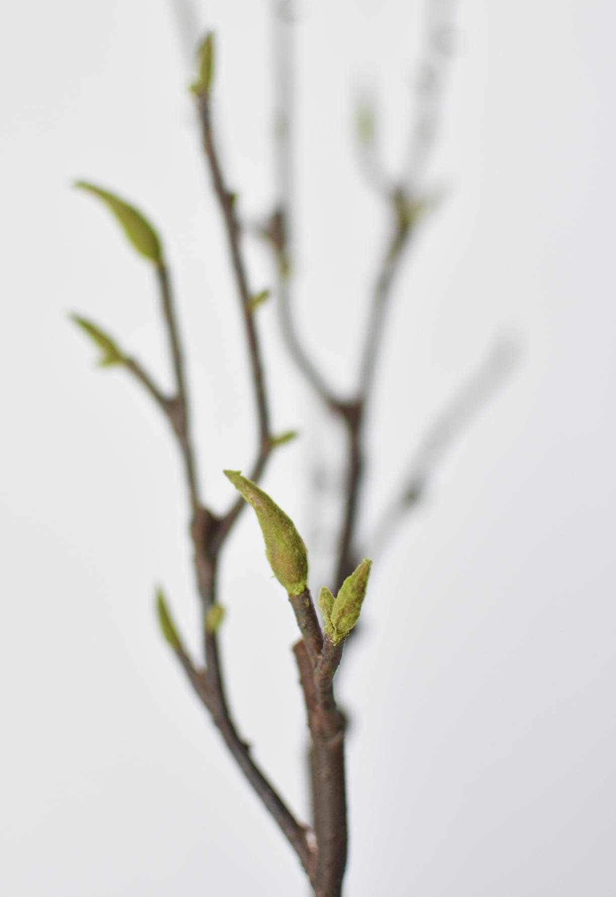 36" Artificial Magnolia Tree Branch Stem