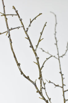 Artificial tree branch stem with wired structure