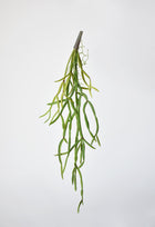 Artificial pencil cactus stem with 7 trailing branches