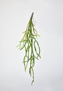 Artificial pencil cactus stem with 7 trailing branches