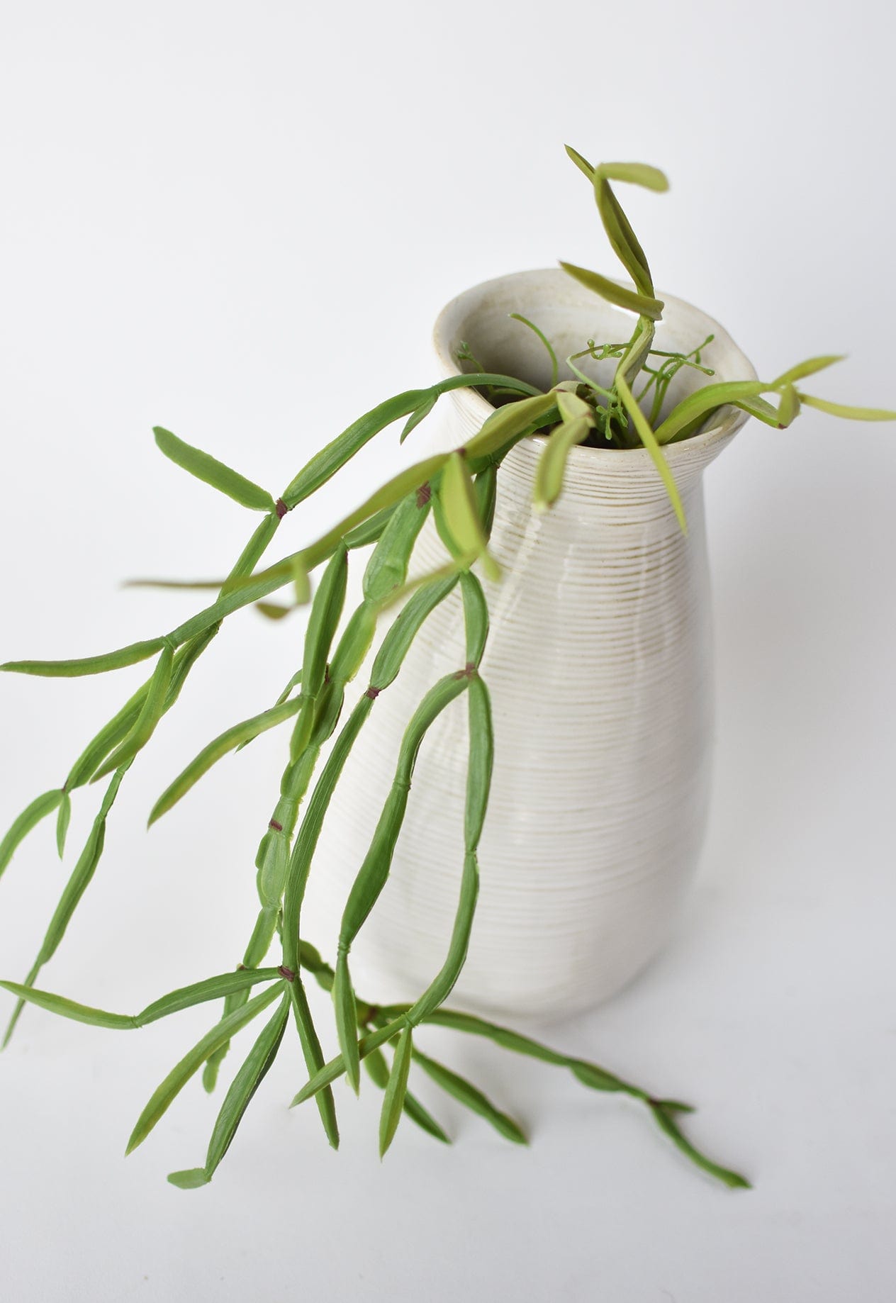 23" Artificial Hanging Pencil Cactus Succulent Bush