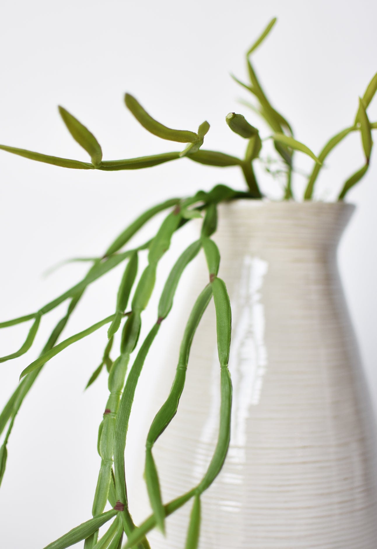 Artificial hanging cactus succulent for planters and shelves