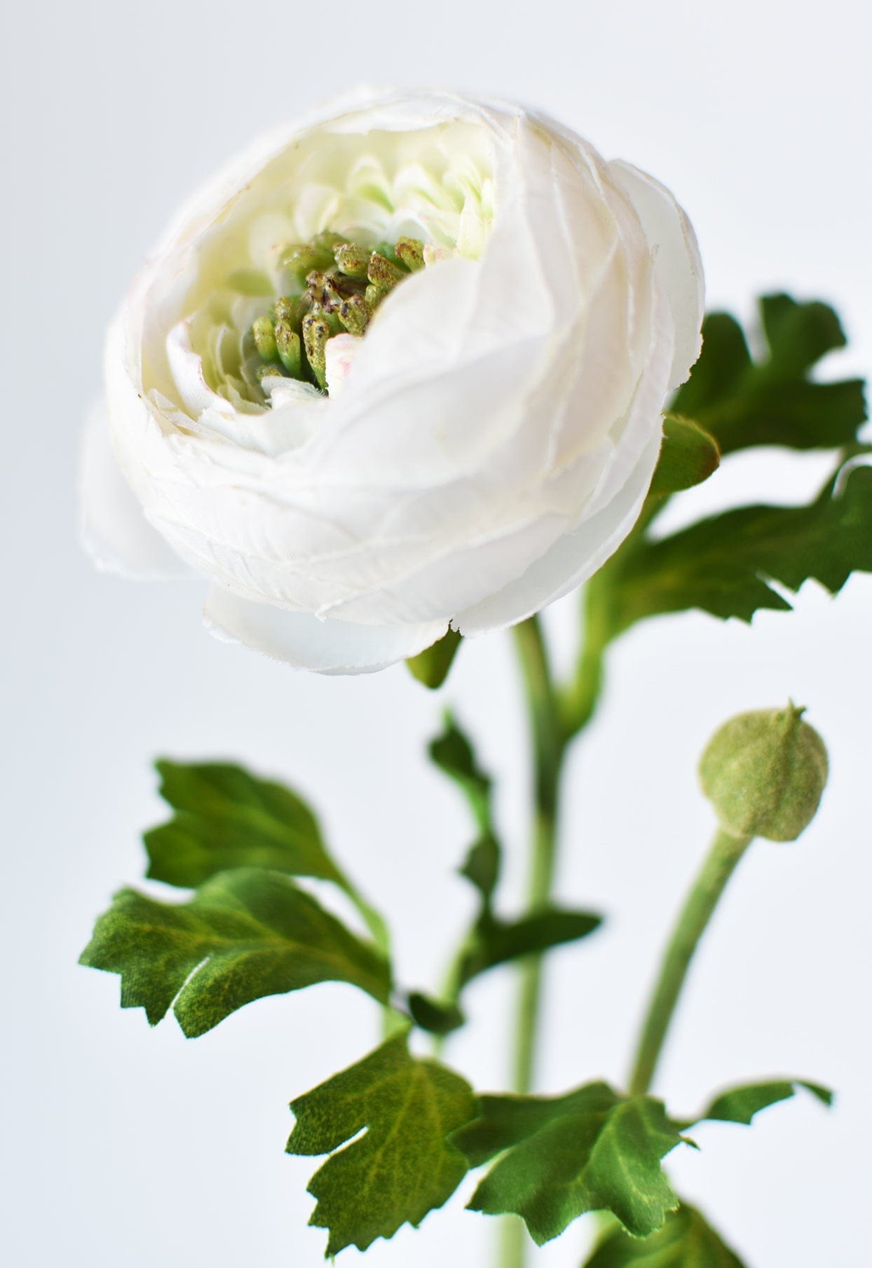 Artificial white ranunculus flower stem for arrangements