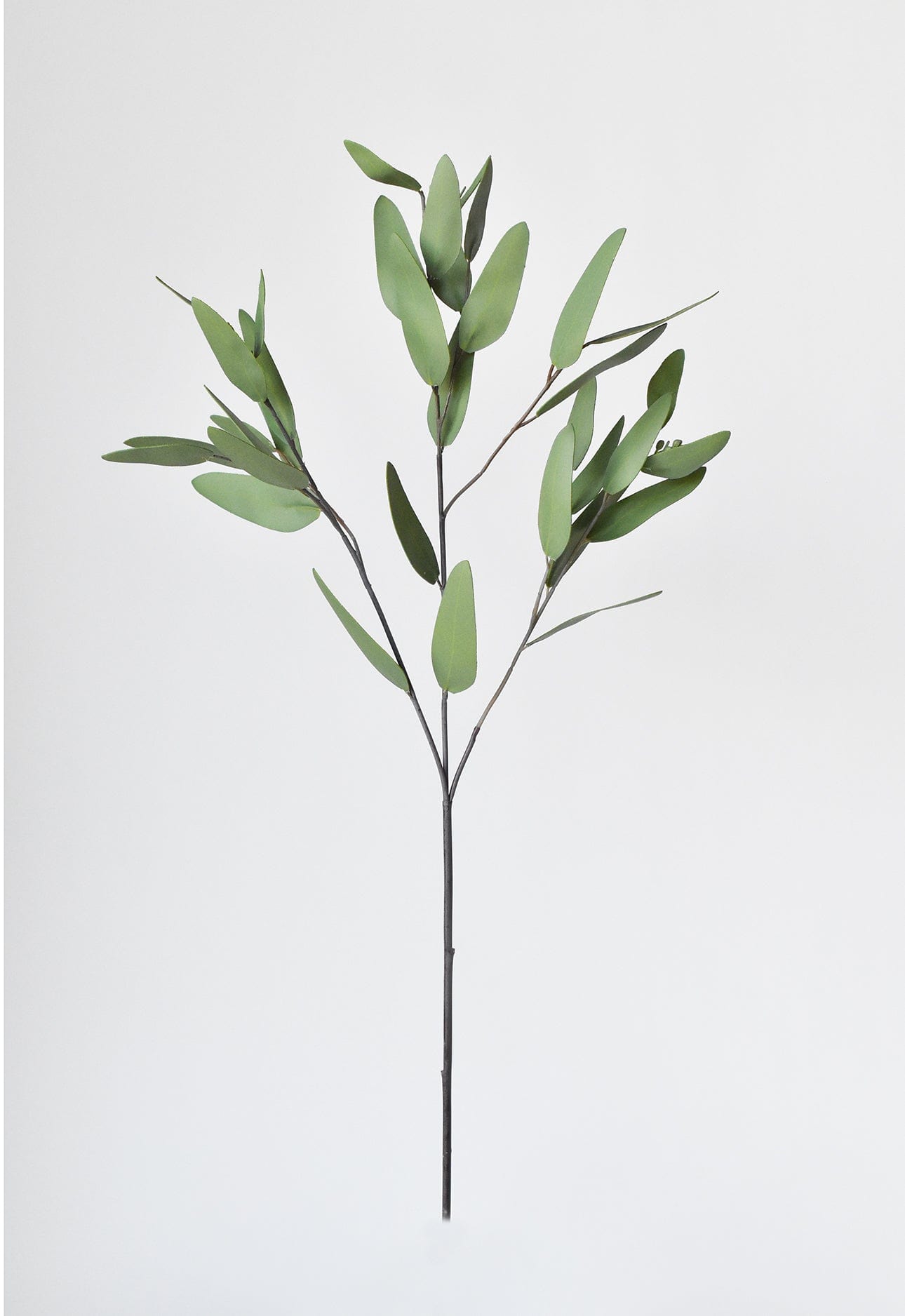 Artificial Leaf