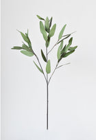 Artificial Leaf