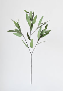 Artificial Leaf